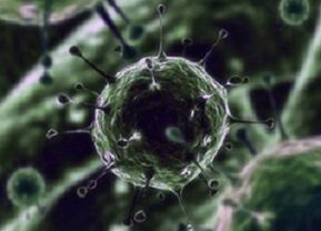 Microorganismos bacterianos como causa de prostatitis